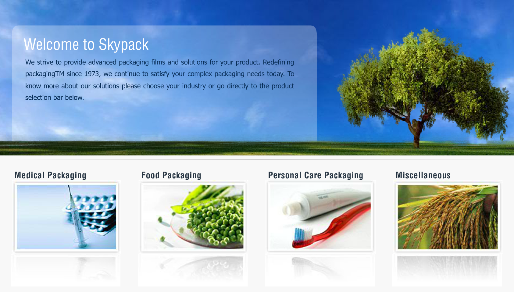 SkyPack – Redefining Packaging